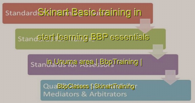 Skinart Basic training in start learning BBP essentials in Unuma area | BbpTraining | BbpClasses | SkinartTraining-Bolivia